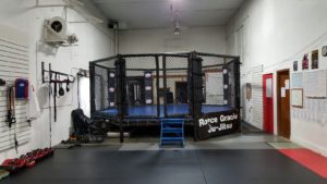 mixed martial arts cage training